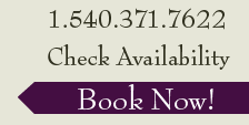 Book Now